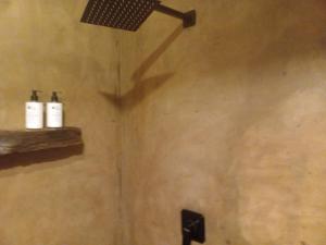a shower with two bottles on a shelf in a bathroom at Travelers Nest in St Lucia