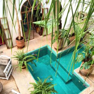 a swimming pool with plants around it at Riad Palacio De Las Especias in Marrakesh