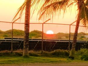 a train traveling past a fence with palm trees at Save Sweet Home in Fuvahmulah