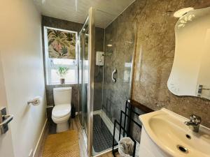 a bathroom with a toilet and a shower and a sink at Inas Place in Caol +17 photos
