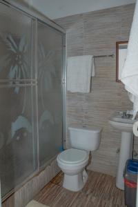 a bathroom with a toilet and a shower and a sink at Preloune Residences SA in Cap-Haïtien +17 photos