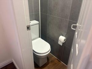 a bathroom with a toilet and a roll of toilet paper at Stylish Holiday Home - Caherdaniel in Caherdaniel
