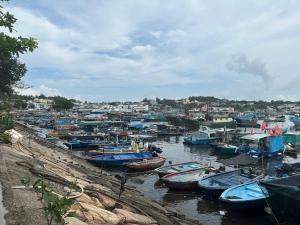 a bunch of boats are docked in a harbor at Moktan Homestay in Pakhyong +6 photos