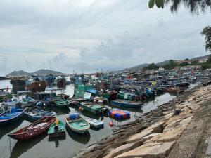 a bunch of boats are docked in a harbor at Moktan Homestay in Pakhyong
