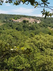 a town on top of a hill with trees at Logis du Grand Puits in Baudinard