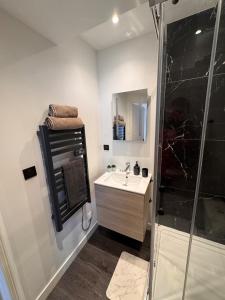 a bathroom with a shower and a sink at Le Cocon de Rose & Achille in Boulogne-sur-Mer +24 photos
