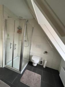 a bathroom with a shower and a toilet at B&B De Holevoet in Scherpenzeel +5 photos