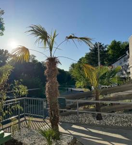 a palm tree sitting next to a fence at Schones Apartment mit Charme und privatem Garten in Schwieberdingen