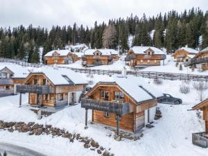 a group of log homes in the snow at Chalet Lachtal in Lachtal