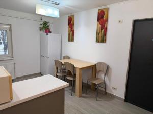 a kitchen with a table with chairs and a refrigerator at Afrodita Apartment in Timişoara