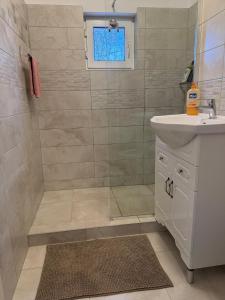 a bathroom with a shower and a sink at Afrodita Apartment in Timişoara +22 photos