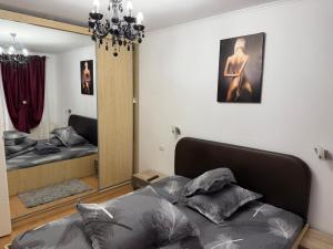 a bedroom with a bed and a mirror at Afrodita Apartment in Timişoara