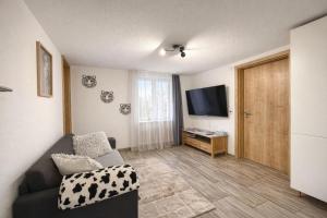 a living room with a couch and a flat screen tv at Ferienwohnung AyNa 4, direkt an der Schweizer Grenze in Bad Säckingen
