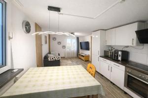 a kitchen and dining room with a table in a room at Ferienwohnung AyNa 4, direkt an der Schweizer Grenze in Bad Säckingen