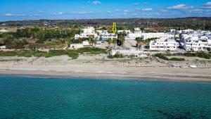 an aerial view of a beach with houses and buildings at Attico Fronte Mare in Torre Mozza