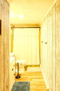 a bathroom with a toilet and a shower curtain at Fall Getaway in Bessemer