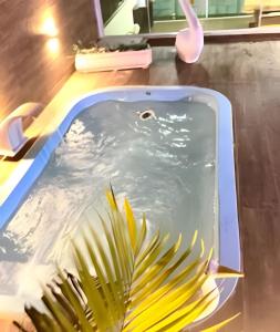 a pool of water with a plant in it at Cobertura com piscina, sauna e churrasqueira in São Pedro da Aldeia