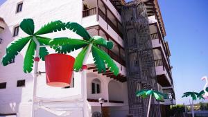 a plant in a red pot on the side of a building at Coral Los Alisios in Los Cristianos