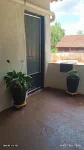 two potted plants sitting in front of a door at Pousada Santos 4, kitnet confortável com ar condicionado in Londrina