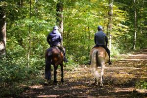 two people riding horses on a trail in the woods at Canada House Queen bed in 2nd floor dbl sofa bed in 1st floor BBQ Private pool, river in Jarabacoa