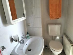 a bathroom with a white sink and a toilet at Eulennest-lu in Ludwigshafen am Rhein +11 photos