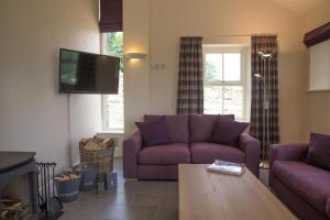 a living room with purple couches and a tv at 3 Bed in Low Row oc-ds1030 in Gunnerside