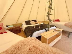 a room with three beds in a tent at Dovedale in Ashbourne