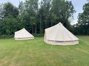 two tents in a field with trees in the background at Dovedale in Ashbourne
