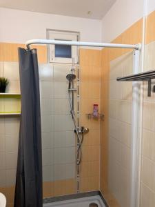 a shower with a shower curtain in a bathroom at KEY Accommodation Pellicova in Brno +28 photos