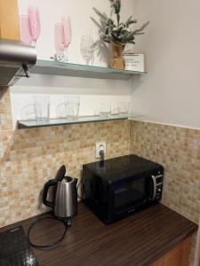 a microwave sitting on top of a kitchen counter at KEY Accommodation Pellicova in Brno