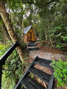 a wooden cabin in the middle of a forest at Cabana nas árvores in Mairiporã