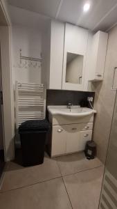 a small bathroom with a sink and a mirror at Escapade en Ardenne - Appartement Sur Jardin Verdoyant in Bertrix