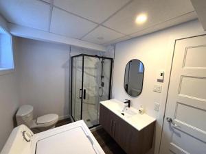 a bathroom with a toilet and a sink and a shower at Gîte du Ruisseau in Lamarche +11 photos