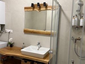a bathroom with a sink and a shower at Apartman SPORKA in Púchov +13 photos