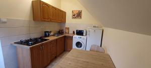 a small kitchen with a washer and dryer in it at Agroturystyka za lasem in Kiekrz