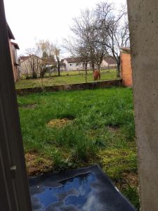 a horse standing in the grass in a field at Maison Cyril in Eurville