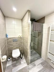 a bathroom with a toilet and a shower at U Pěti kohoutů in Liberec +6 photos