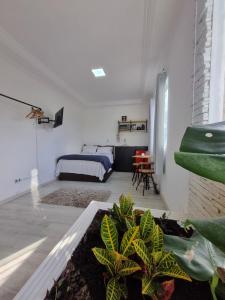 a bedroom with a bed and a plant at Suíte Garden em Butantã Próximo á USP - Self Check-in in São Paulo