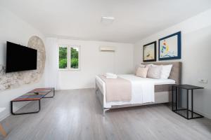 a white bedroom with a bed and a flat screen tv at Holiday house with heated pool in Neorić