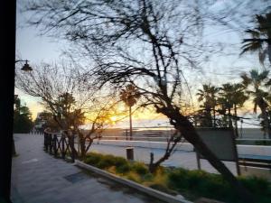 a view of a street with palm trees and the sunset at Salve habitación in Estepona