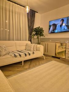 a living room with a couch and a flat screen tv at Del House in Zărneşti