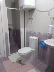 a bathroom with a toilet and a sink at Simal Apart Ev in Ayder Yaylasi +62 photos