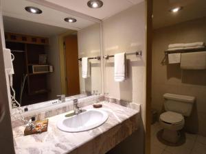 a bathroom with a sink and a toilet and a mirror at Hotel Mirabel in Querétaro +25 photos