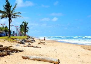 a beach with logs and palm trees and the ocean at Casa Itanhaém Praia Cibratel in Itanhaém