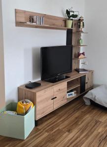 a television on a wooden entertainment center in a room at Ferienwohnung Schneeberg in Schneeberg