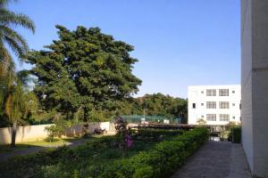 a garden with a tree and a building at KOKIRA Apê in Campinas