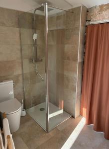 a glass shower in a bathroom with a toilet at Bergerie du Riccio avec piscine privée in Cauro +10 photos