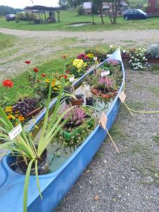 a blue boat filled with flowers and plants at Domki bungalowe nr 8 in Stosrow +10 photos