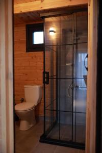 a bathroom with a toilet and a glass shower at Atlasluxuryhome mor in Samsun +104 photos