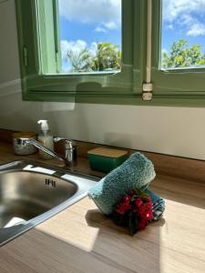 a kitchen counter with a sink with a bouquet of flowers at Gîte Ti Volkan in Saint-Claude +15 photos